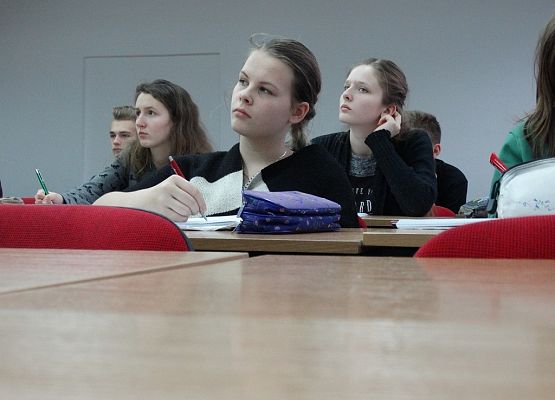 Laborka, różniczka i całki grafika