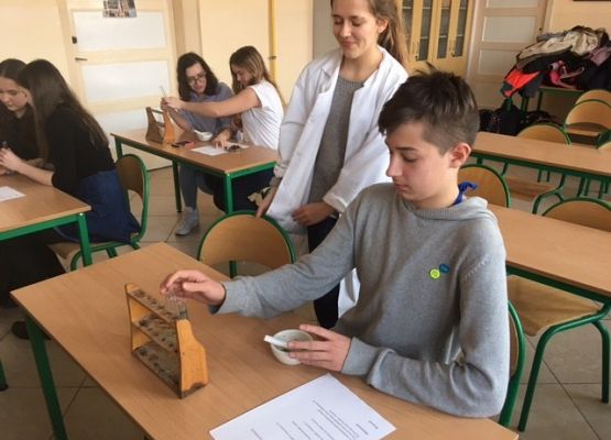 Na tropie witamin grafika