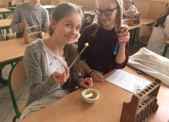 Na tropie witamin grafika