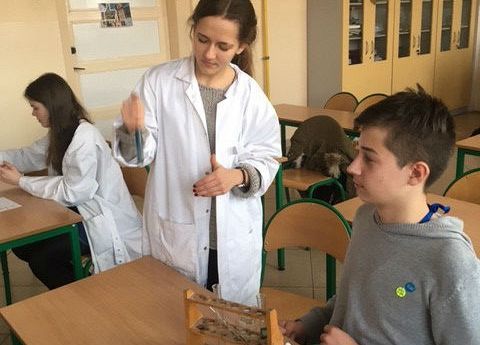 Na tropie witamin grafika