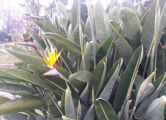 Grupa Erasmus+ w Portugalii grafika