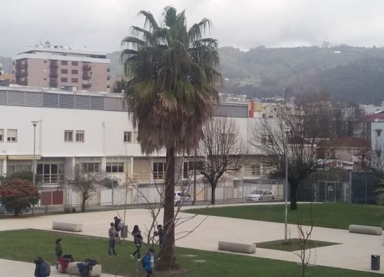 Grupa Erasmus+ w Portugalii grafika