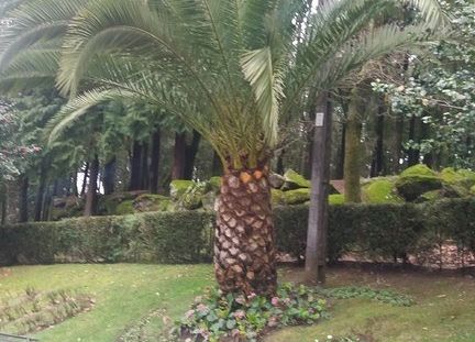 Grupa Erasmus+ w Portugalii grafika