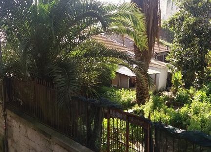 Grupa Erasmus+ w Portugalii grafika