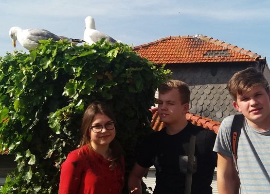 Grupa Erasmus+ w Portugalii grafika