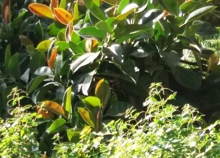 Grupa Erasmus+ w Portugalii grafika