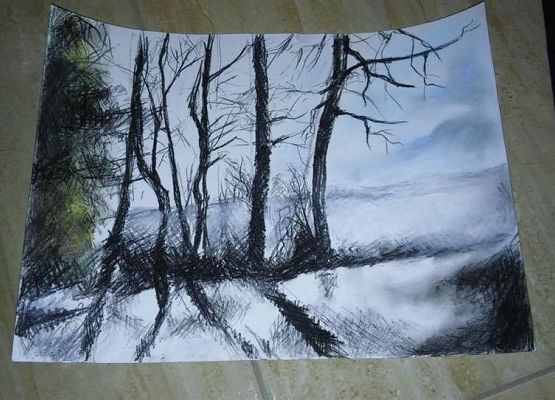 Sukcesy plastyczne Marty Zanewycz z IIIb grafika