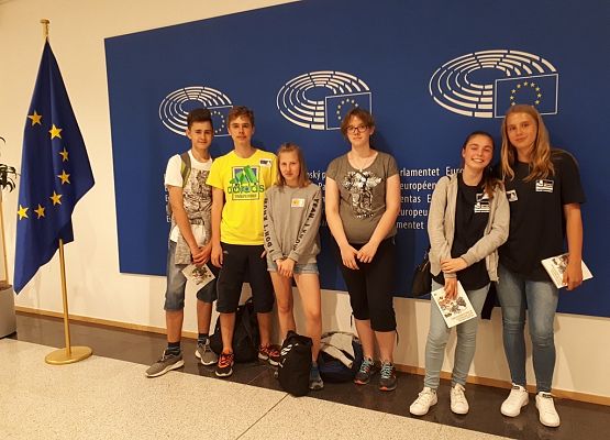 Grupa Erasmus+ we Francji, Sarreguemines grafika