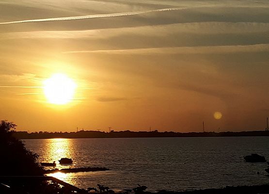 Uczniowie Gimnazjum nr 1 w Stralsundzie grafika