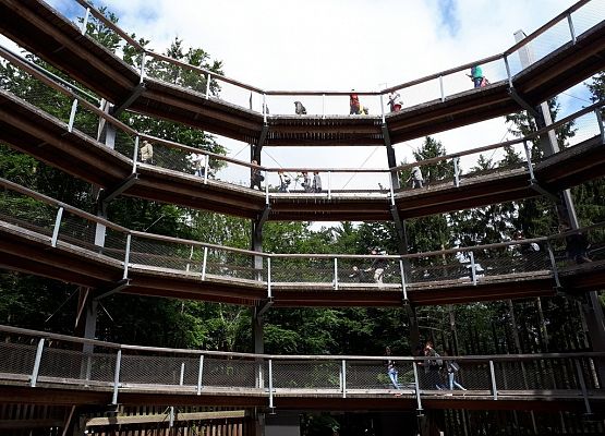 Uczniowie Gimnazjum nr 1 w Stralsundzie grafika