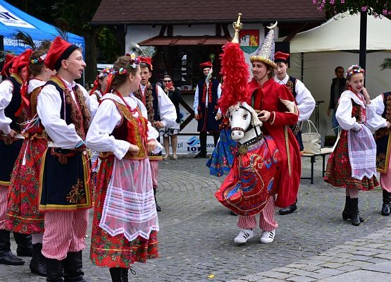 Narodowe Czytanie po raz szósty grafika