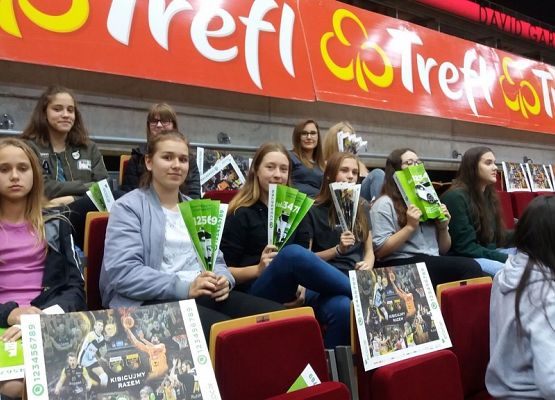 Sportowe emocje w Ergo Arenie grafika