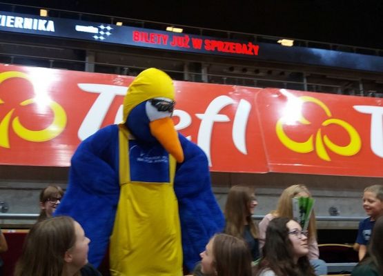 Sportowe emocje w Ergo Arenie grafika