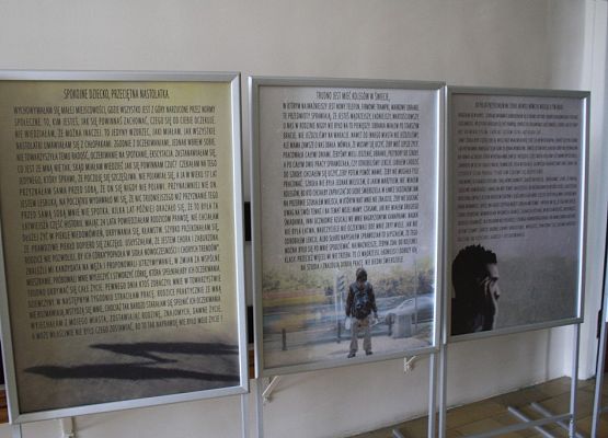 Projekt wychowawczo-profilaktyczny grafika