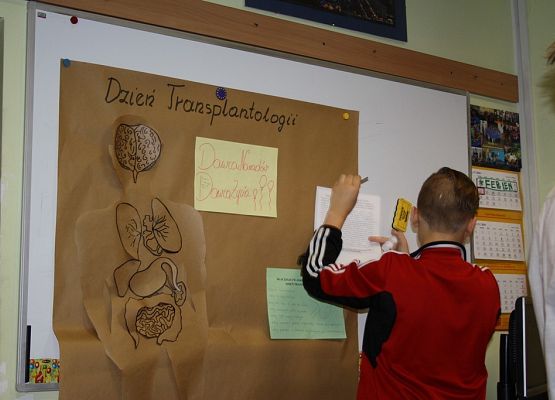 Dzień Transplantacji grafika