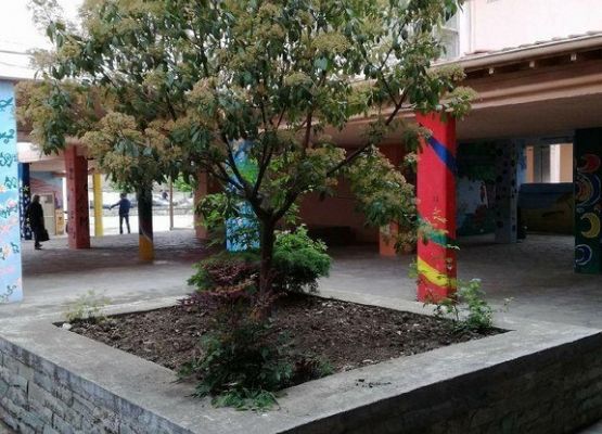 ERASMUS + 2018-2020 grafika