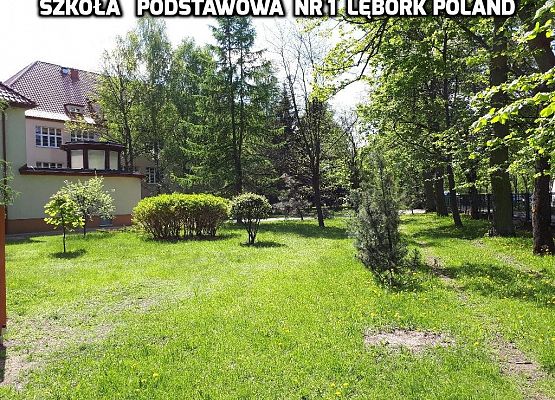 ERASMUS + 2018-2020 grafika