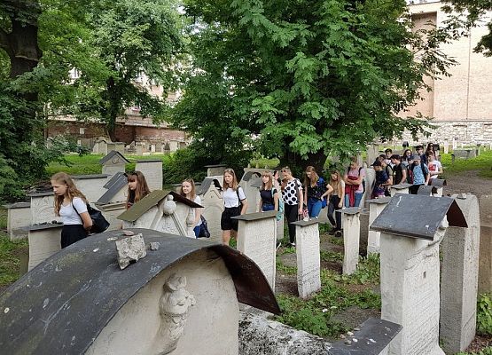 Kraków-Zakopane-Oświęcim-Słowacja grafika