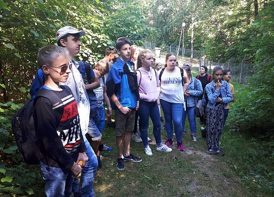 Wycieczkowy tydzień klasy VIIa grafika