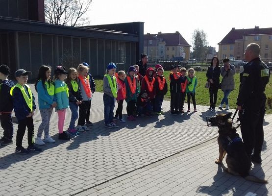 Niezwykłe lekcje pierwszoklasistów grafika