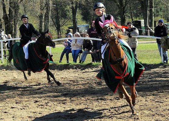 Sekcja jeździecka rusza! grafika