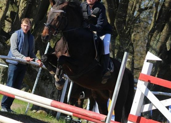 Sekcja jeździecka rusza! grafika