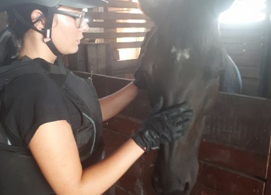 Sekcja jeździecka rusza! grafika