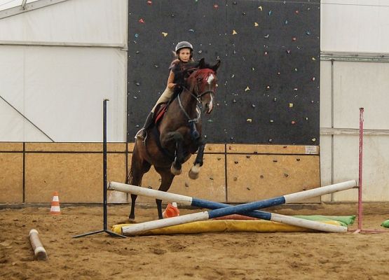 Sekcja jeździecka rusza! grafika