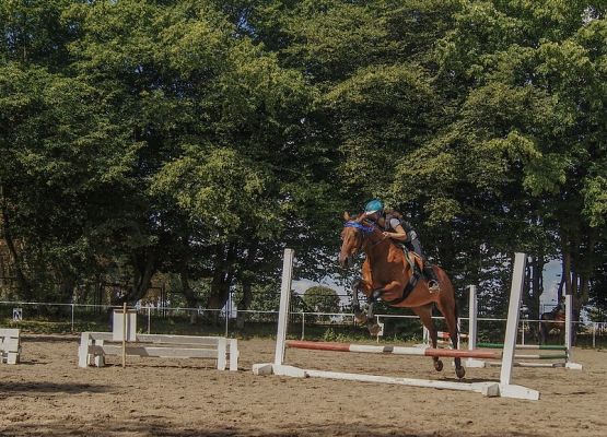 Sekcja jeździecka rusza! grafika