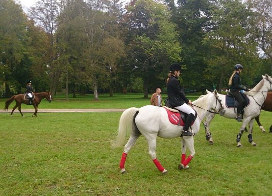 Sekcja jeździecka rusza! grafika