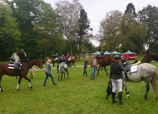 Sekcja jeździecka rusza! grafika