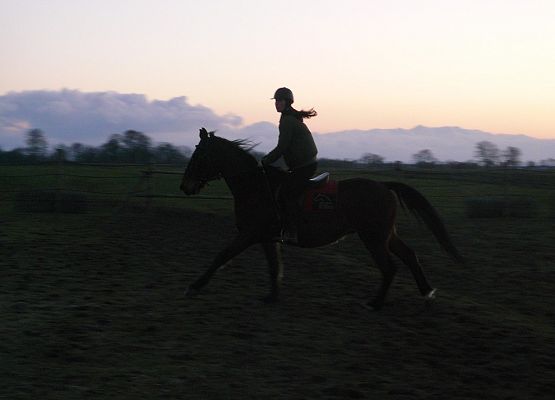 Sekcja jeździecka rusza! grafika