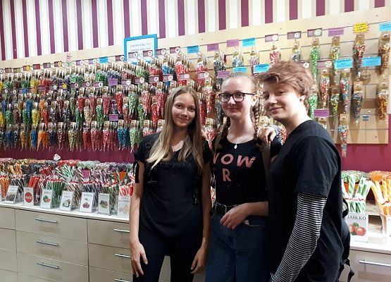 Goście ze Stralsundu - polsko-niemiecka wymiana grafika