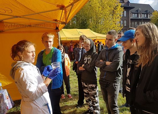 Piknik naukowy w I Liceum Ogólnokształcącym grafika