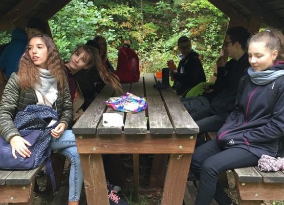 Sportowy tydzień grafika