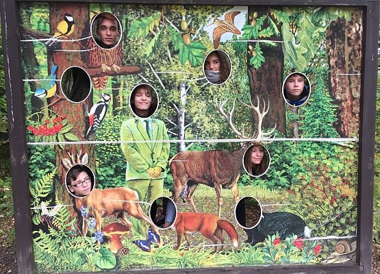 Sportowy tydzień grafika