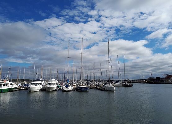 Polsko-niemiecka wymiana w Stralsundzie grafika