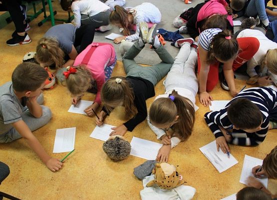 Czytamy z Biedronką grafika