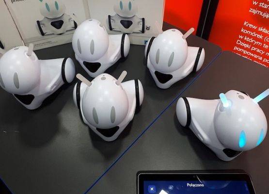 European Vocational Skills Week, Erasmus+  oraz Austauschlabor- Laboratorium polsko-niemieckiej wymiany (PNWM) grafika