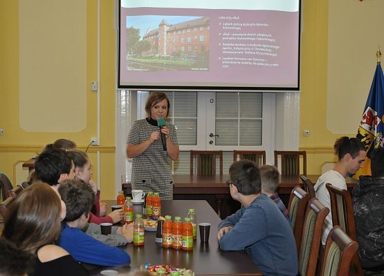 VIIId w Starostwie Powiatowym grafika