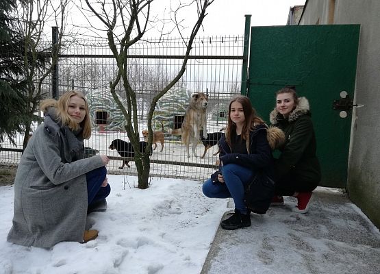 Pomagamy zwierzakom ze schroniska! grafika