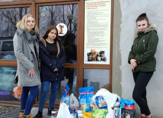 Pomagamy zwierzakom ze schroniska! grafika