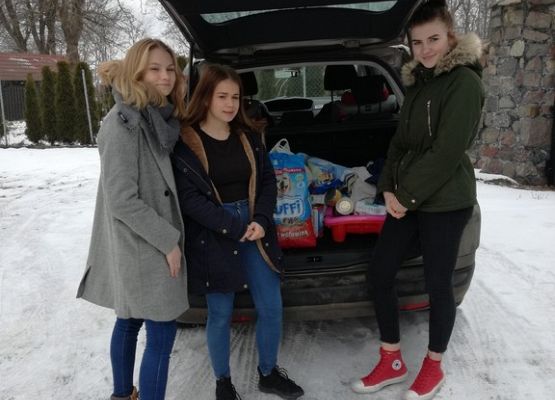 Pomagamy zwierzakom ze schroniska! grafika