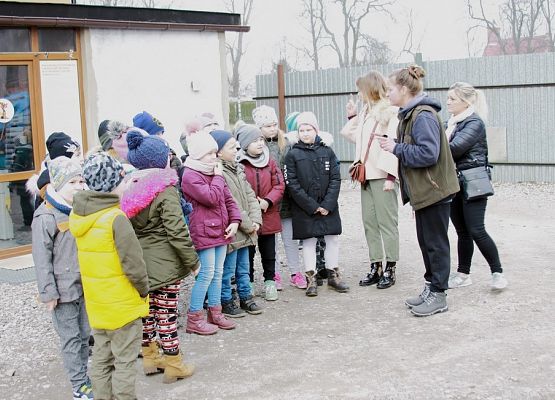 Pierwszaki z pomocą dla zwierząt grafika