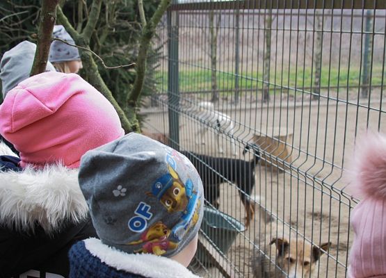 Pierwszaki z pomocą dla zwierząt grafika