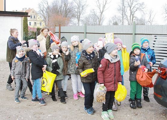 Pierwszaki z pomocą dla zwierząt grafika
