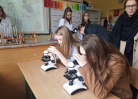 Targi Edukacyjne 2019 grafika