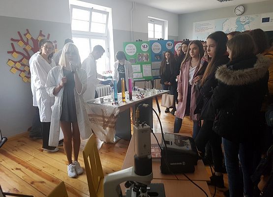 Targi Edukacyjne 2019 grafika