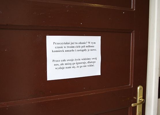 Do czego potrzebna nam wiedza? grafika