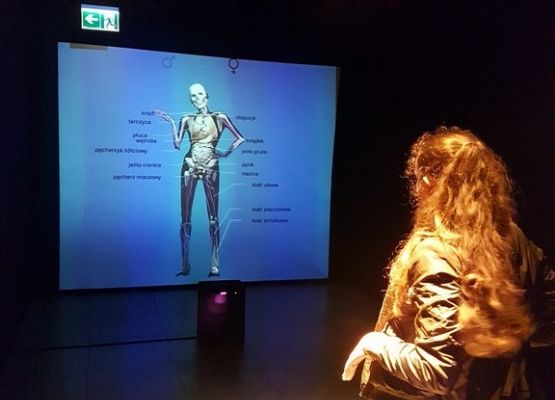 Wyjazdowy tydzień IIIa i VIIIa grafika